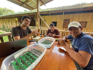 three researchers create green clay caterpillars 