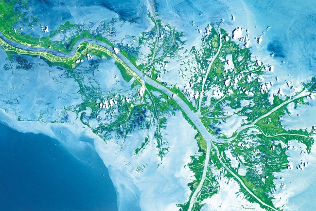 Satellite image shows the Mississippi River "bird's foot" Delta in Louisiana