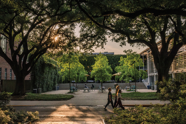 Students walk across a tree-lined Tulane campus courtyard in golden hour lighting, with LBC buildings visible in the background.