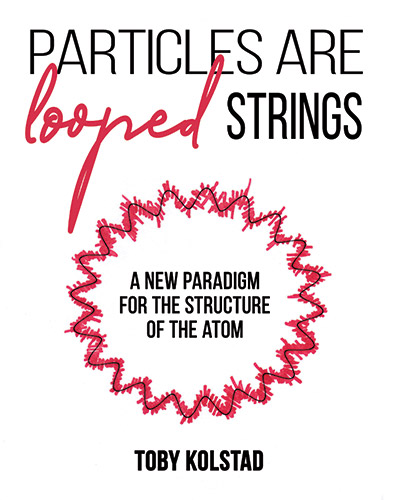 Particles Are Looped Strings book cover