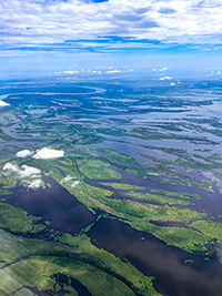 Aerial view from plane of river and wetlands