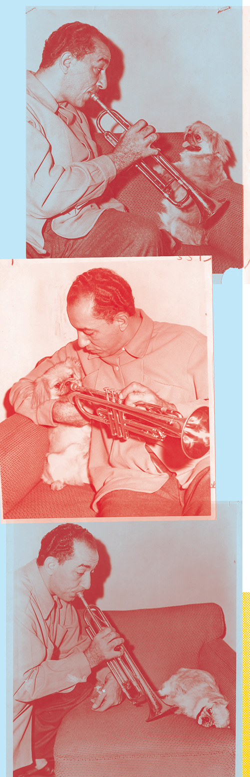 series of photos of Louis Prima playing his trumpet to a cute small dog