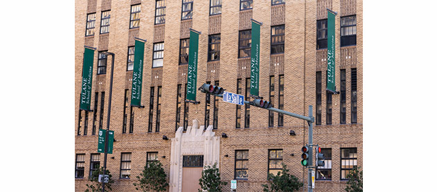 Medical School brown building with green flag signs