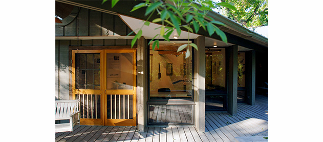 view of a building with gallery spaces in the woods