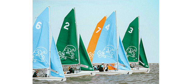 group of Tulane sailboats with colorful sails on the water