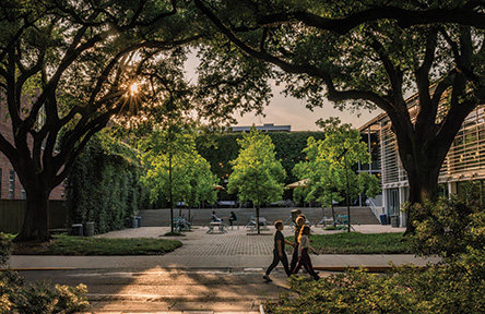 Students walk across a tree-lined Tulane campus courtyard in golden hour lighting, with LBC buildings visible in the background.