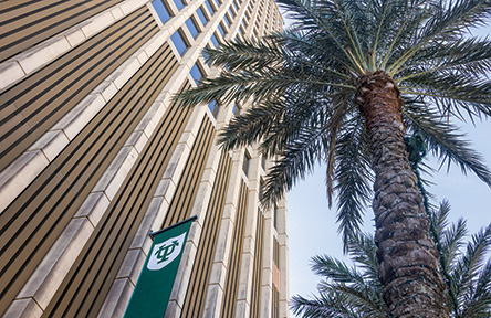 Modern beige building, green banner with white logo, and a tall palm tree.