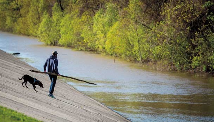A man walks his dog near rising waters on the Mississippi