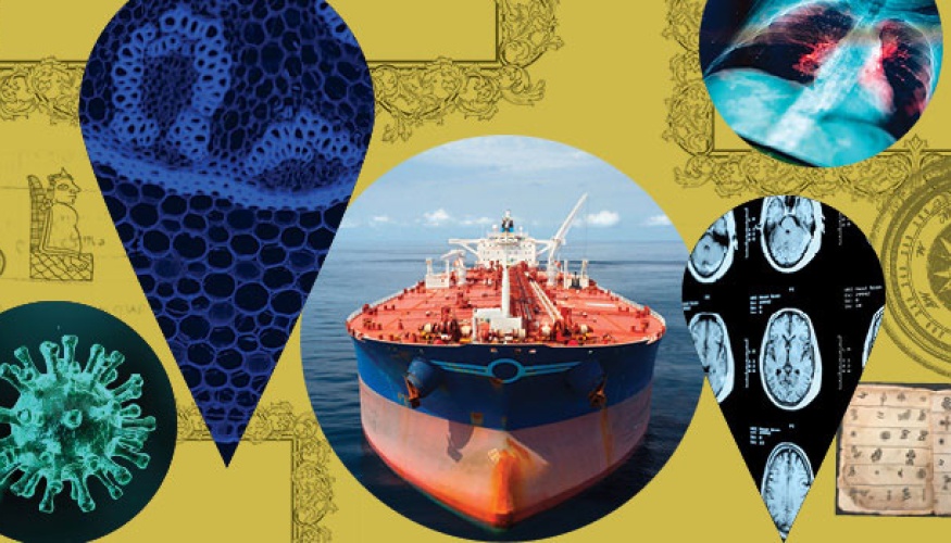 collage of ships, virus, human anatomy, Latin American art