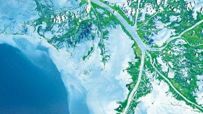Satellite image shows the Mississippi River "bird's foot" Delta in Louisiana
