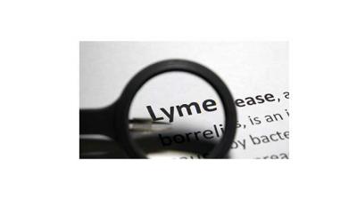 magnifying glass over text focusing on the word Lyme