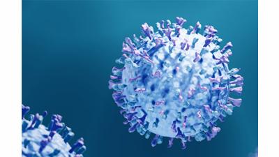 Respiratory syncytial virus 3D illustration which shows structure of virus with surface spikes