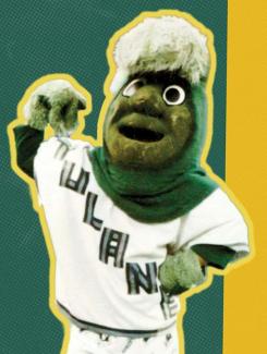 person in green fur mascot costume with white, wave-like plume on top of head