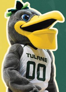 Riptide mascot costume. A fuzzy-feathered pelican with big yellow beak in a Tulane basketball jersey.