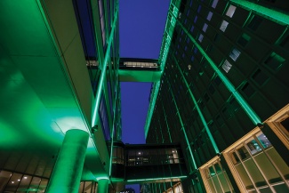 night scene of J. Bennett Johnston and Hutchinson Memorial buildings illuminated with green lighting