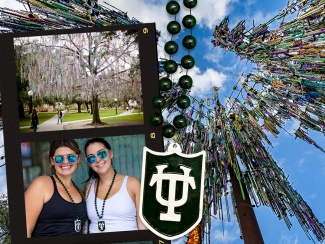 collage of mardi gras beads in a tree and a Tulane logo bead string