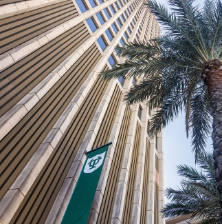 looking up at the Tidewater Building and tall palm trees