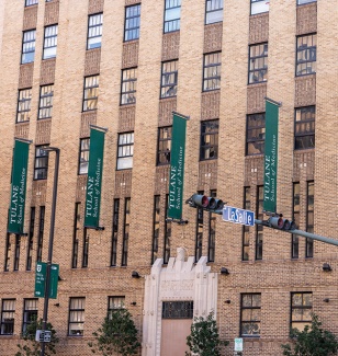 Medical School brown building with green flag signs