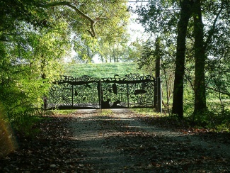 A metal gate decorated with birds at the end of a path in the woods at the entrance to A Studio in the Woods
