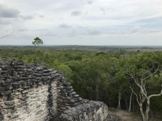 overhead view of stone Mayan site with trees
