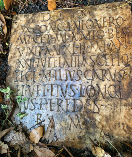 Ancient stone tablet with weathered Latin inscription, partially covered by dirt and leaves.
