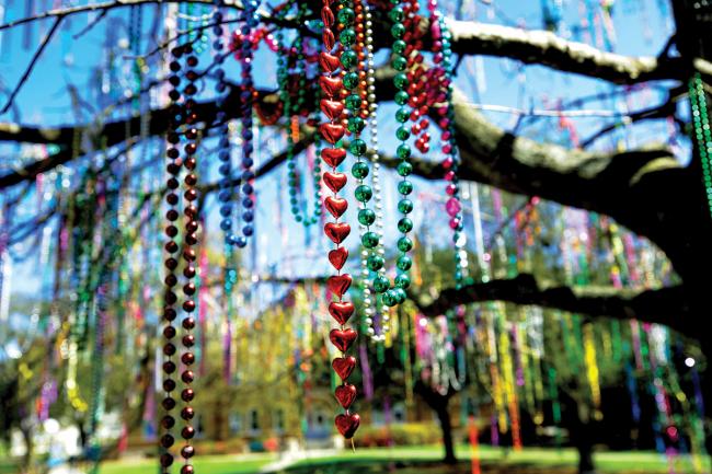 tree with beads draped on the limbs