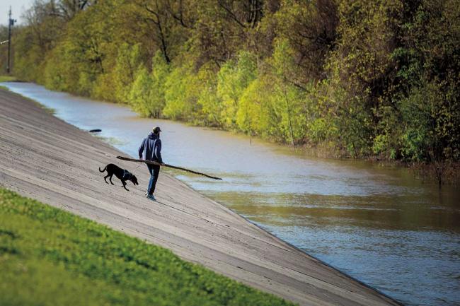 A man walks his dog near rising waters on the Mississippi